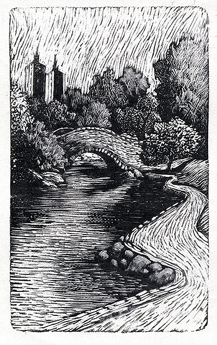 Wood Engraving - Central Park New York