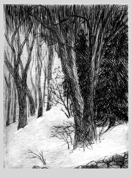 Snowy hill in upstate NY