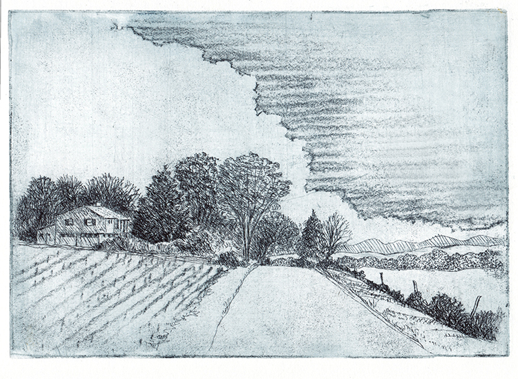 Unionvalle hilltop view to the west