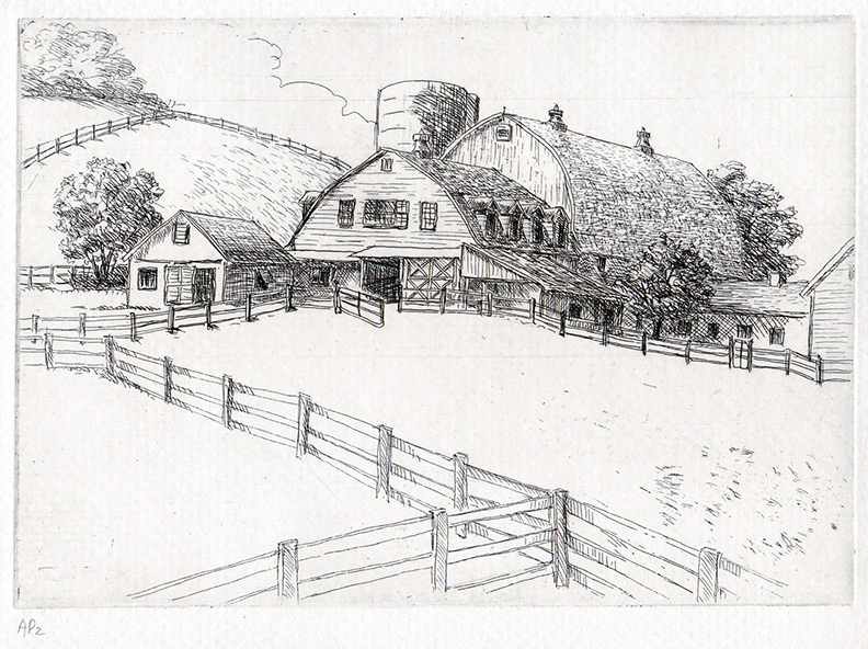 Hors farm near Dover Plains NY