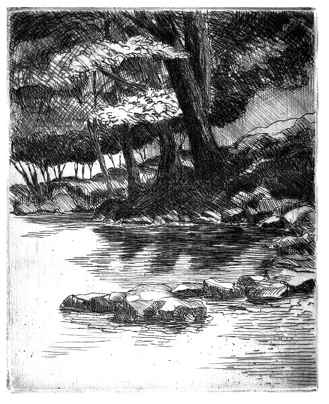 Local stream near Corbin Rd